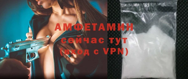 гидра Инта