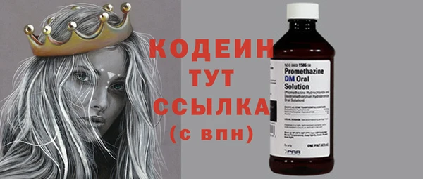 гидра Инта
