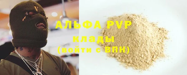 гидра Инта