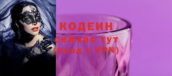 гидра Инта