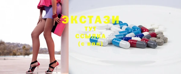 гидра Инта