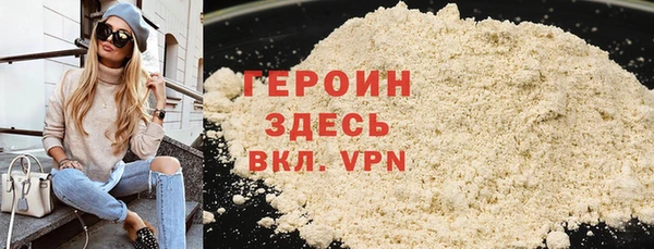 гидра Инта
