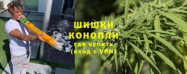 гидра Инта