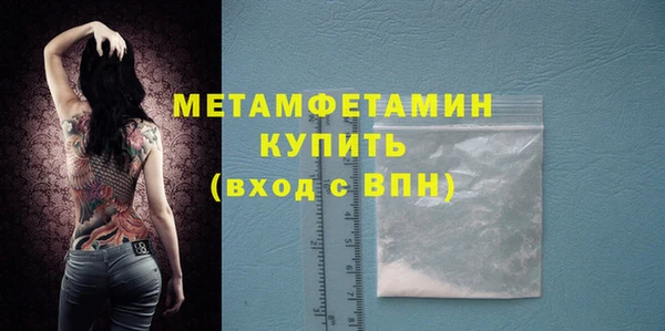 гидра Инта