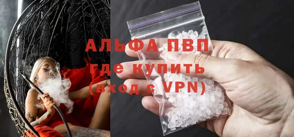 гидра Инта