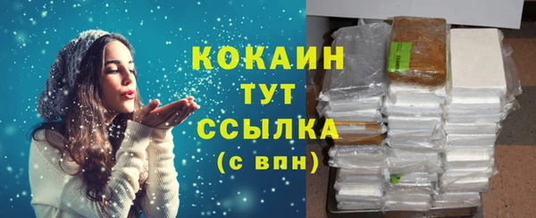 гидра Инта