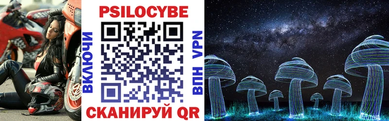 Купить  Ржев  Галлюциногенные грибы Cubensis 